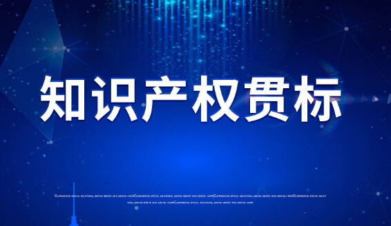 918博天堂环保顺利通过2020知识产权管理体系认证