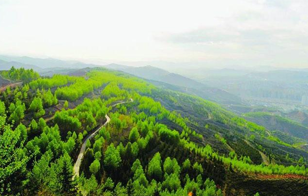 【世界防治荒漠化和干旱日】918博天堂环保一直在行动
