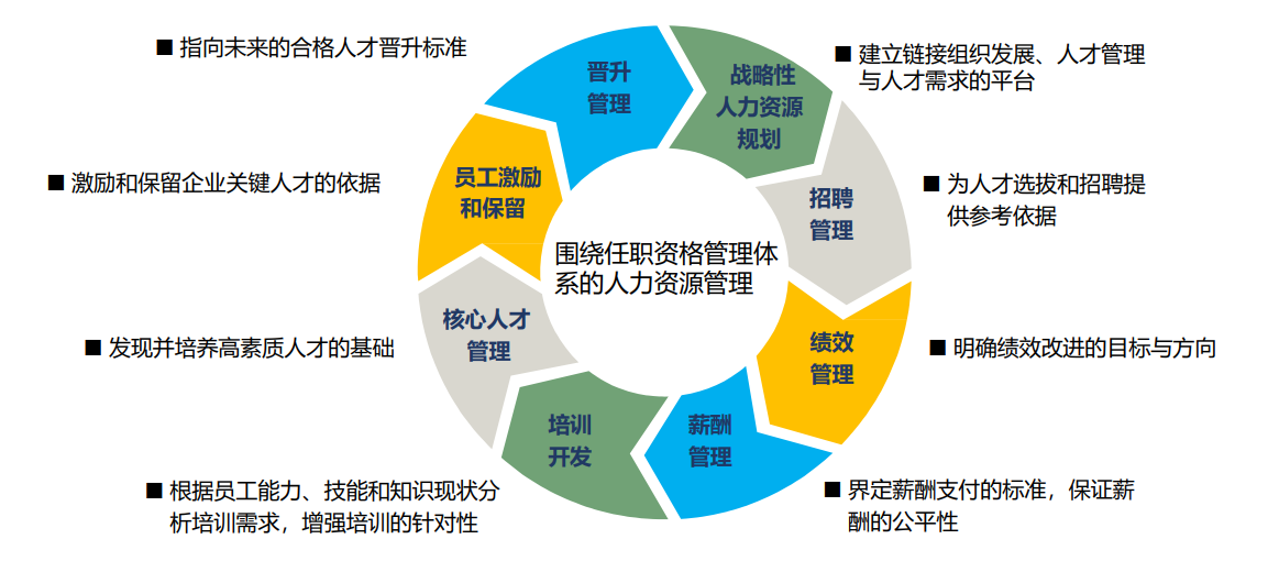918博天堂注重人才培养