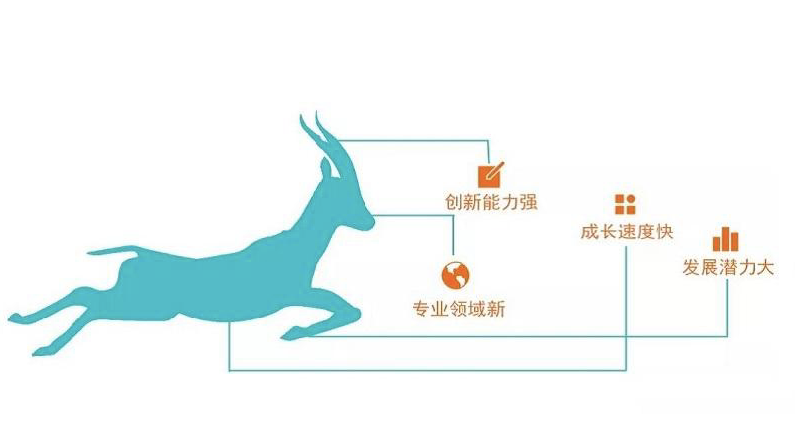918博天堂入选2022江苏省瞪羚企业